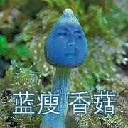 蓝瘦xianggu