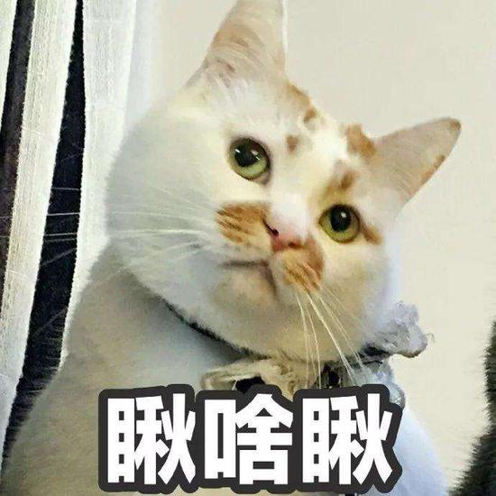 客机出故障,空乘紧急向乘客筹现金