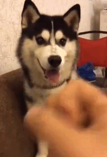 囧哥:五百万体验券!女子账户突然多出500万一查是系统错误休闲区蓝鸢梦想 - Www.slyday.coM 囧哥:五百万体验券!女子账户突然多出500万一查是系统错误休闲区蓝鸢梦想 - Www.slyday.coM