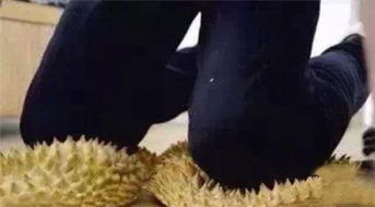 囧哥大义灭亲女儿报警爸爸开车撞了妈妈的车