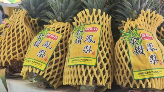胖姐好凤梨首次亮相冬交会寻伯乐助力海南本土健康农产品走出去