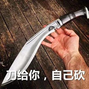 囧哥:刘德华风评被害!男子因长相酷似刘德华逃单两次