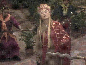 囧哥男子动物园与猩猩隔玻璃亲吻几个来回之后猩猩逐渐敷衍