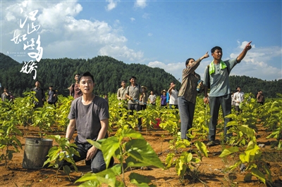 《江山如此多娇》罗晋敢说敢干讲方法