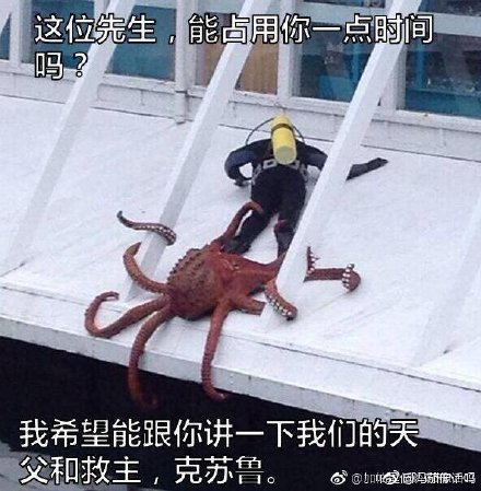 囧哥壮观德国工厂巧克力泄漏形成巧克力大道