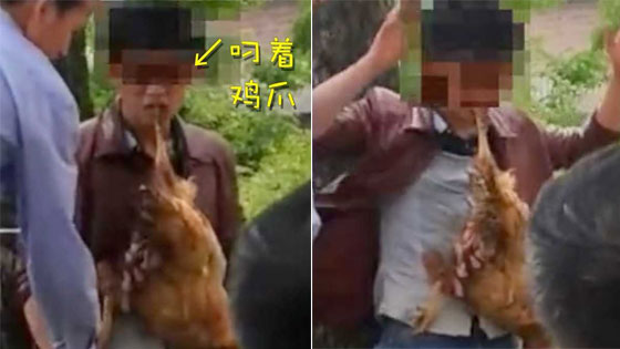 男子偷鸡被村民绑在树上 嘴叼鸡举手投降