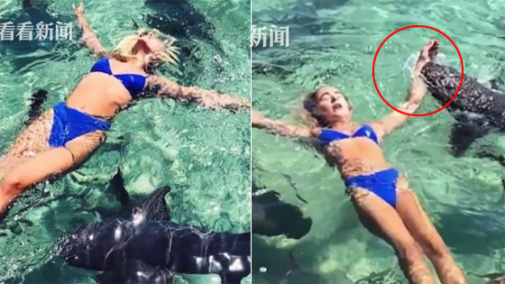 网红躺水上拍美照 被鲨鱼一口咬下>>