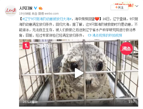 北京补病例北京班社不