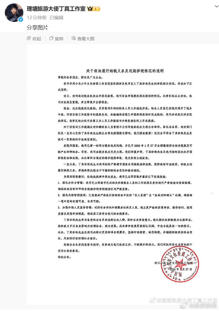 丁真工作室回应欠税公告：延迟缴税系外聘财务疏忽
