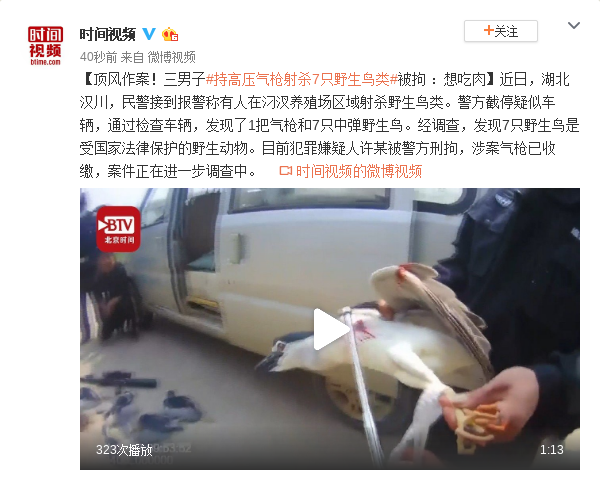 三男子持高压气枪射杀7只野生鸟类被拘：想吃肉