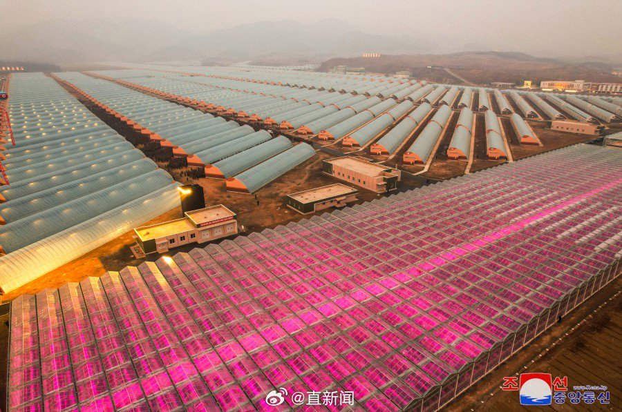 2025东南大学在河北录取分数线点评：优势专业与报考参考