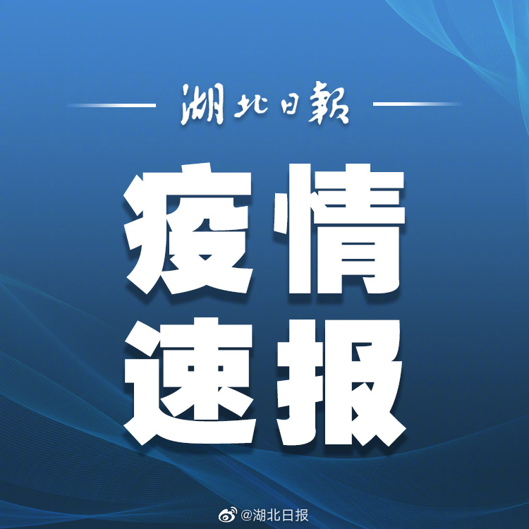 湖北新增境外输入无症状感染者1例