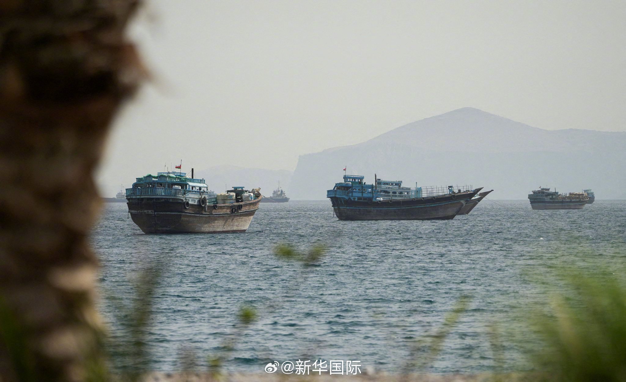 美媒：美伊框架协议“已达成95%” 正在就“措辞”进行磋商