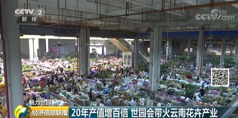 云南花卉市场:1500亿的大市场真香 有人从年入20万做到6000万