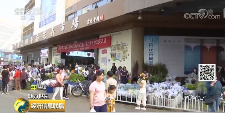 云南花卉市场:1500亿的大市场真香 有人从年入20万做到6000万