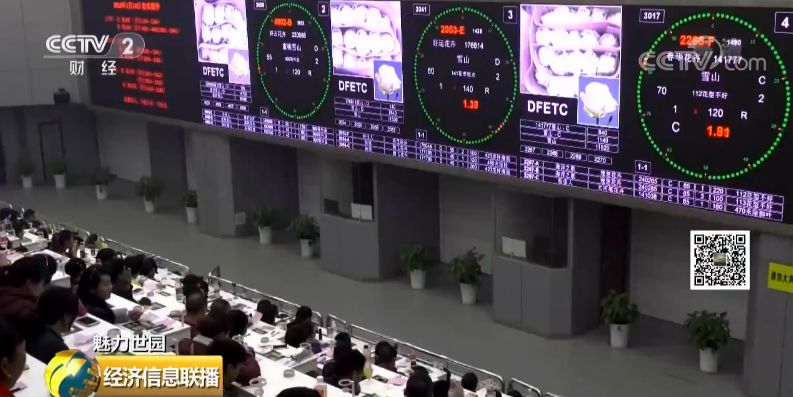 云南花卉市场:1500亿的大市场真香 有人从年入20万做到6000万