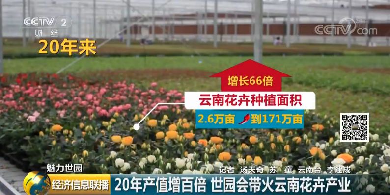 云南花卉市场:1500亿的大市场真香 有人从年入20万做到6000万