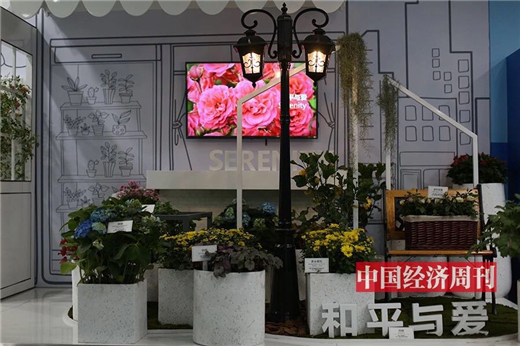 第一时间探馆北京世园会(文末有彩蛋)