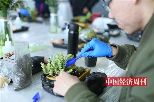 第一时间探馆北京世园会(文末有彩蛋)