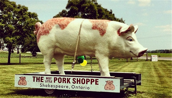 加拿大农业部长 中方暂停两家猪肉企业对华出口许可