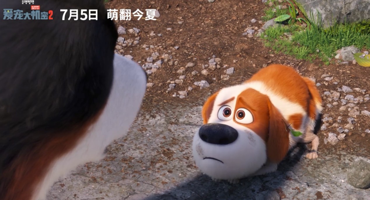 《爱宠大机密2》国内定档7月5日 蠢萌麦克和雪球再度来袭