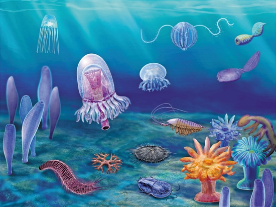 水母能留下化石吗