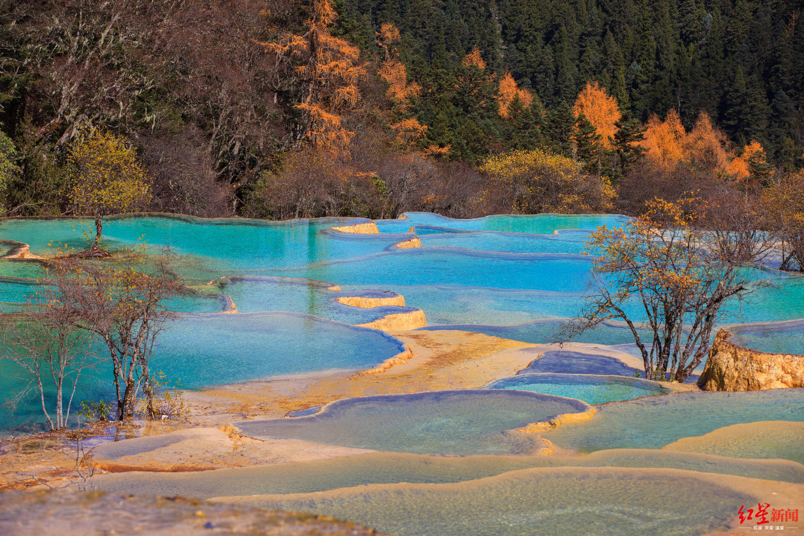 玩去5月19日出生的朋友四川黄龙景区请你免费耍