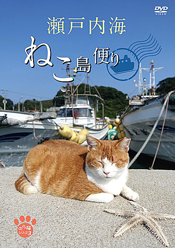 《猫岛的来信》书封（资料图）