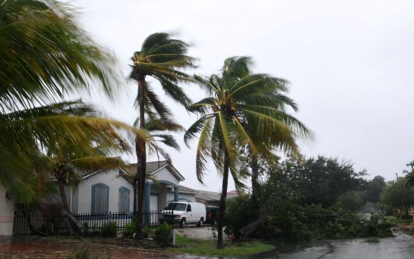资料图片：在美国佛罗里达州迈阿密，飓风过境。（新华社）