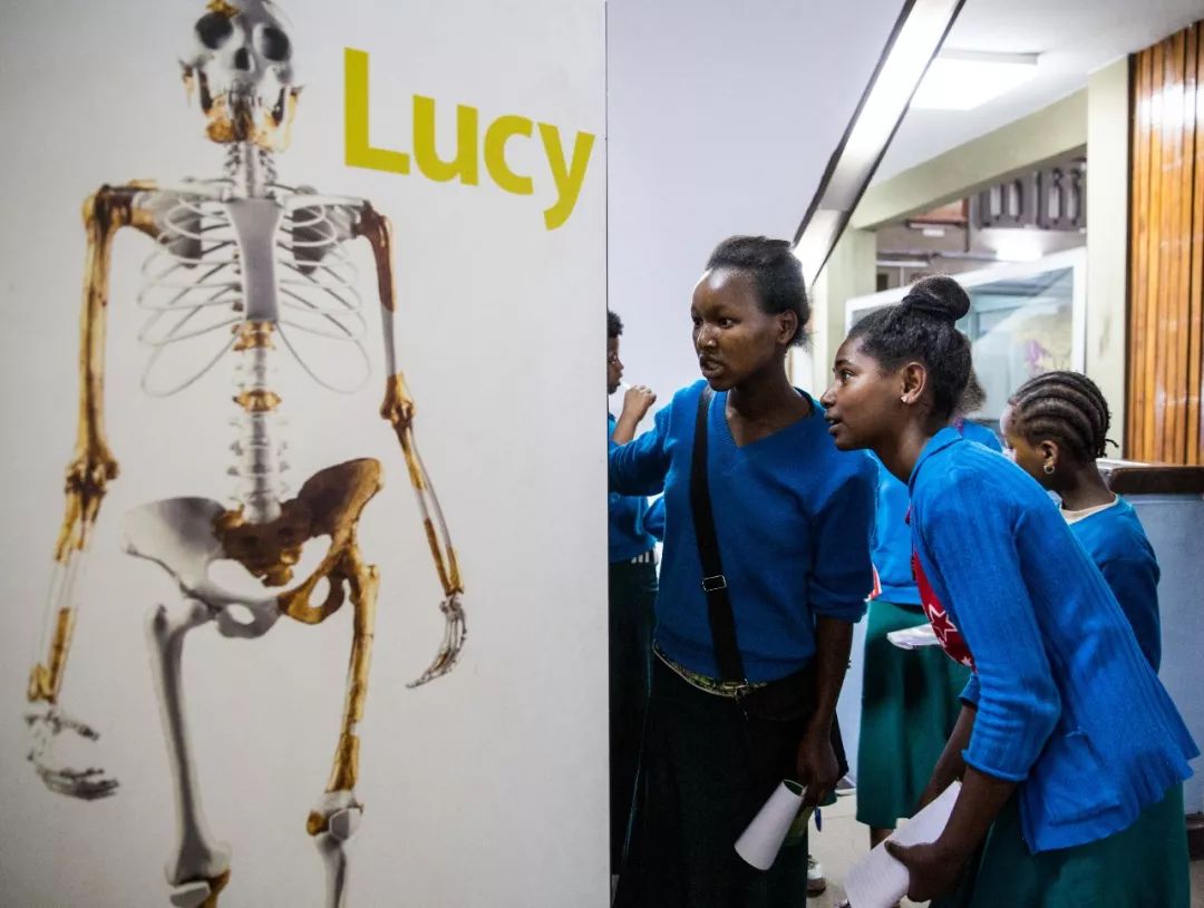  ↑在埃塞俄比亚国家博物馆，当地学生们观看关于露西的介绍。新华社记者吕帅摄