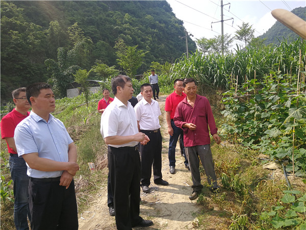 自治区高级人民法院党组副书记,副院长林玉堂一行到乐业县开展脱贫