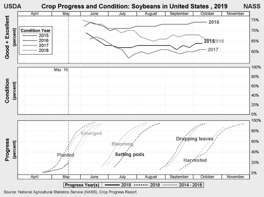 图为美国新季大豆生长进度