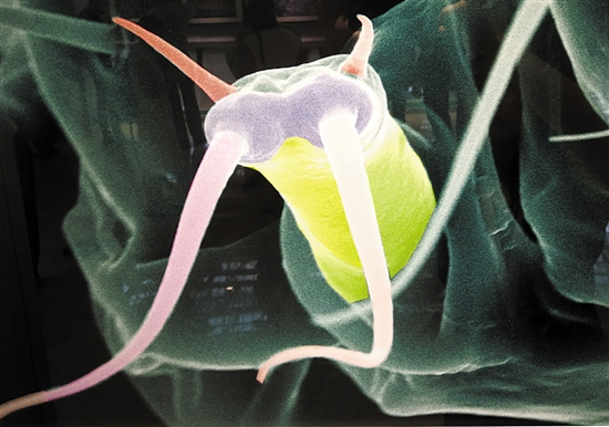 透过图片看世界科学触手可及