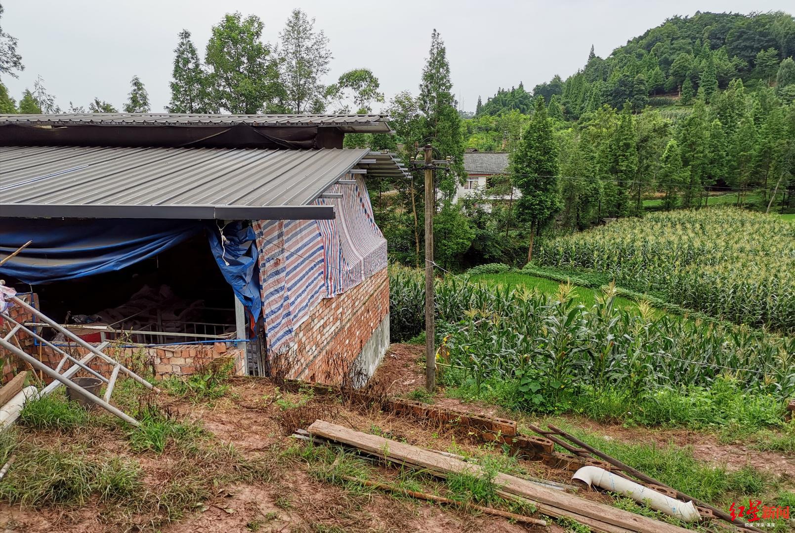 四川乐山一家三代4口人死在化粪池 疑似沼气中毒