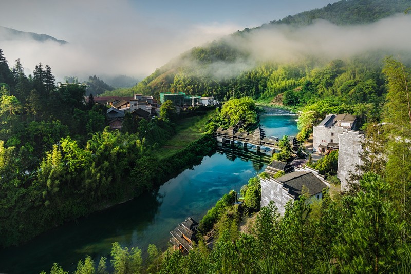 灵川九屋镇位于桂林市西北角,其中有竹林面积8万亩,闻名东南亚的东江