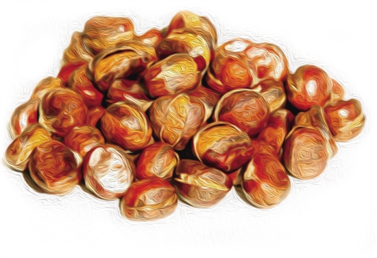 老汪家的炒栗子店