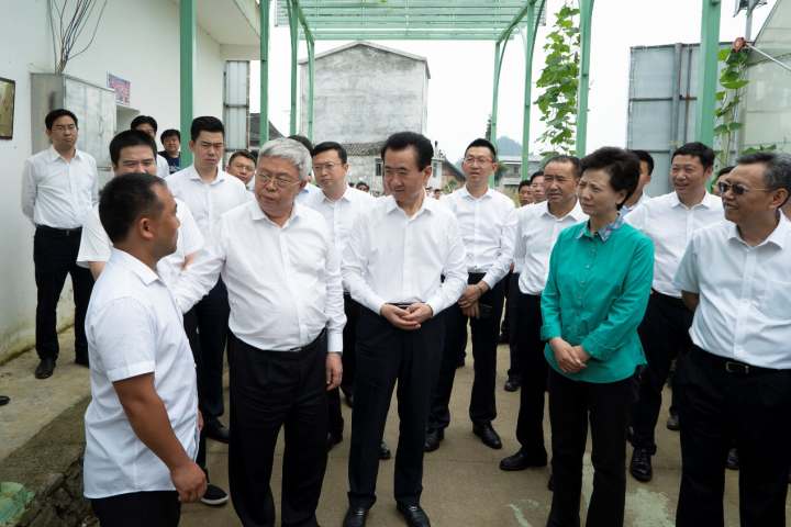 贵州省委副书记,省长谌贻琴从贵州省脱贫攻坚角度对万达丹寨扶贫