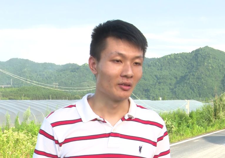 客官买瓜吗分宜2万斤南瓜陷困境种植户急寻销路