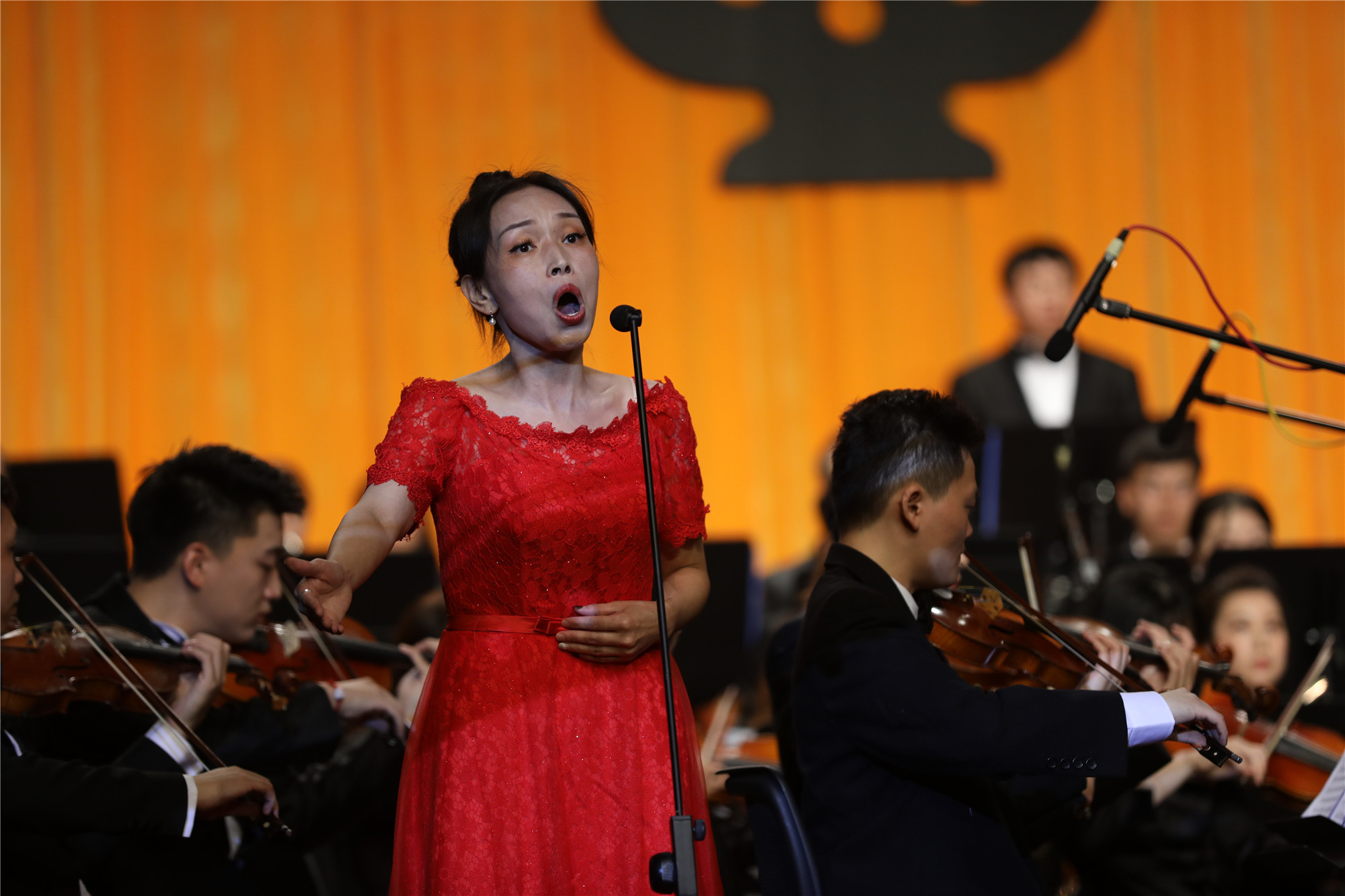 演奏的作品从巴洛克到现代,从古典到流行,无论是曲目的难度与丰富程度