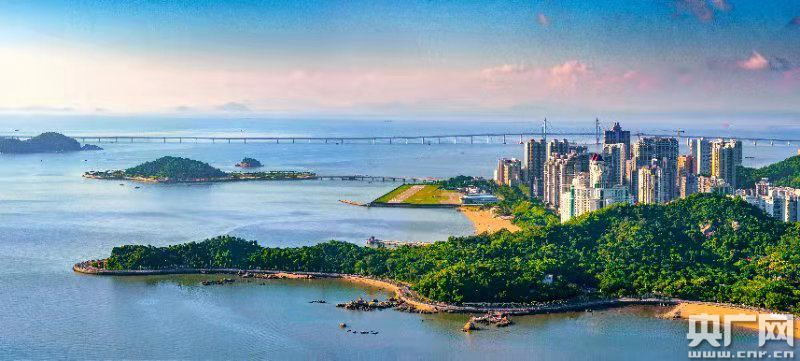 粤港澳大湾区林业三年行动计划出炉