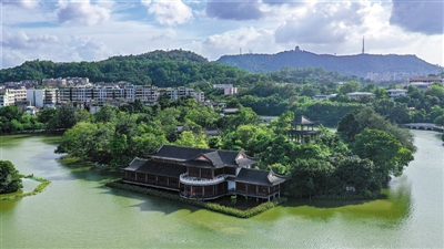 文崇惠州气质一流