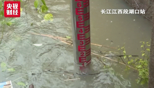长江洪涝灾害:长江1号洪水正式形成 南方多地暴雨来袭