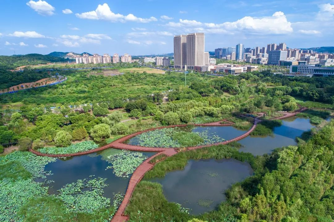 我们在101 park的地下切了块"海绵蛋糕"给你看!