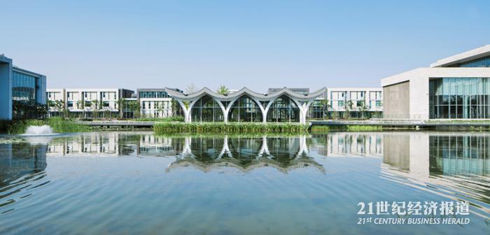 在中外合作大学就读是什么体验?与教授畅聊,本