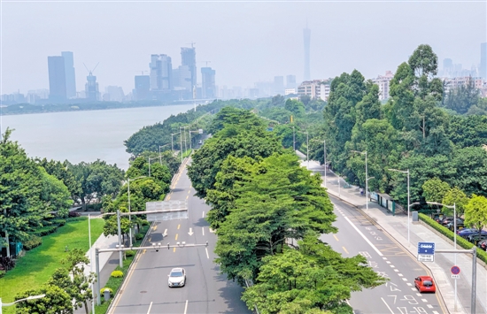 临江大道华快至科韵路段拟投2000多万提升品质