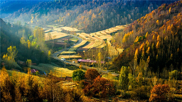 河北承德平泉市亮相我家门口那条路大型主题采访活动图