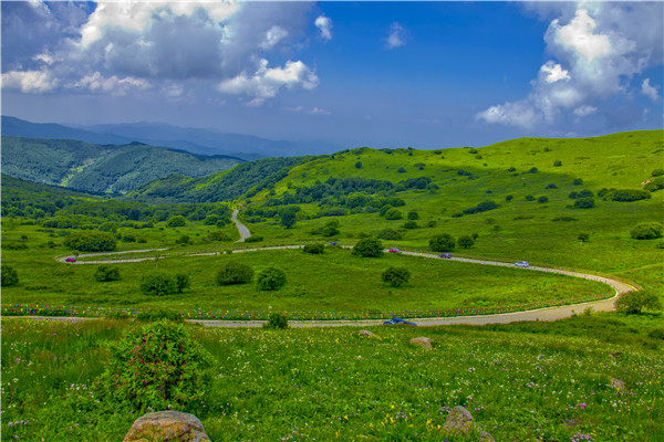 河北承德平泉市亮相我家门口那条路大型主题采访活动图