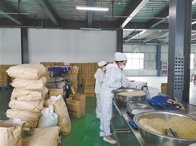 青稞饼干加工生产线.