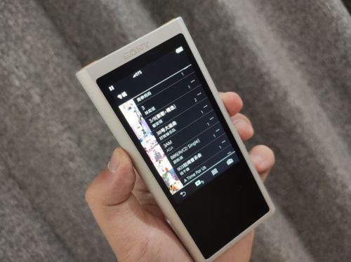 索尼NW-ZX300A评测:硬件堆料十足一秒把耳朵叫醒|索尼_新浪财经_新浪网
