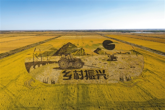 中国梦","高铁"等画样辽宁沈阳的"3d稻田画"色彩艳丽浙江省仙居县下各